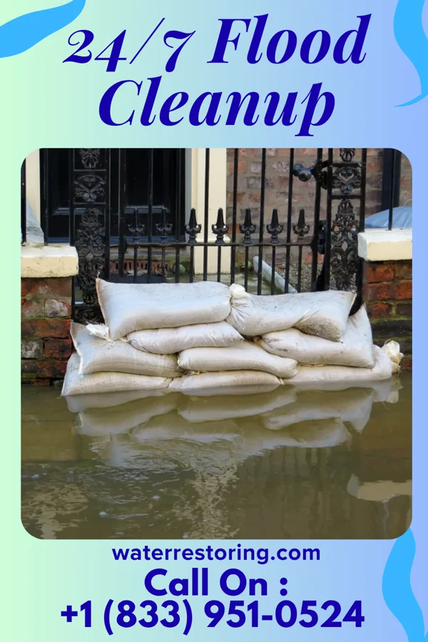 24/7 Flood Cleanup in St. Martins, MO