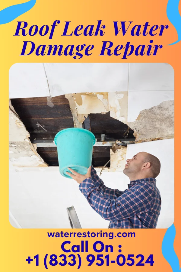 Roof Leak Water Damage Repair in St. Martins, MO