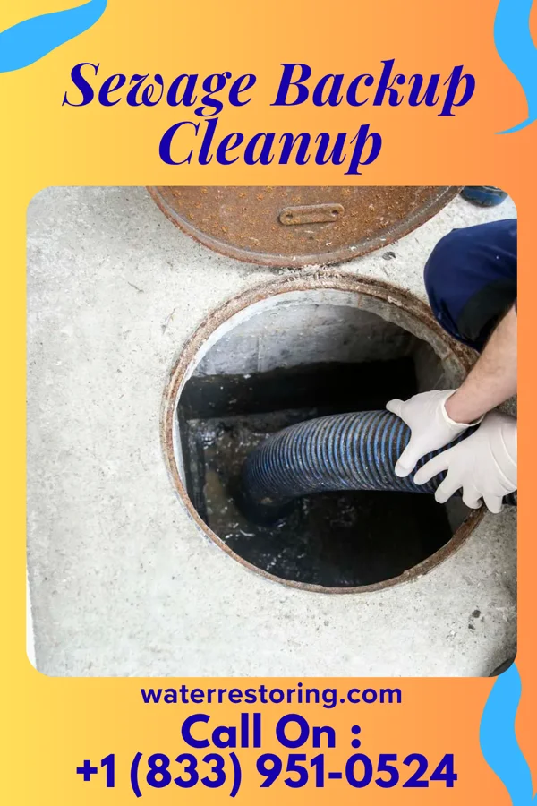 Sewage Backup Cleanup in St. Martins, MO